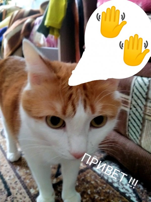 ответ на вопрос со спикером !