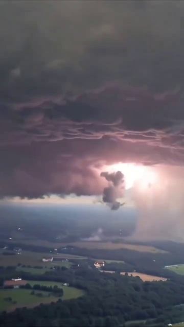 Чудеса природы смотреть онлайн