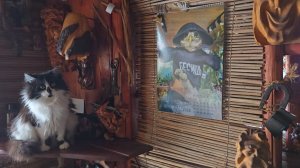 Хрустальные деревья, игривые питомцы и приятная работа под монолог о бассейне "Москва"