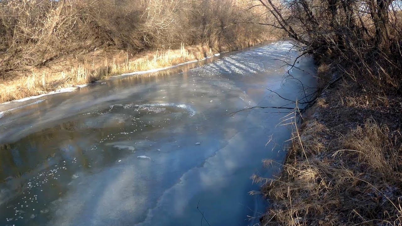 Налим на живца зимой. 3 сезон. 1 серия. (Много рыбы подо льдом! Установка тычек по первому льду)