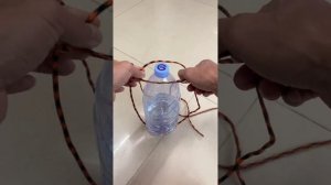 Правильные узлы