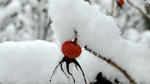 Зимняя мелодия.mpg