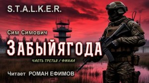 S.T.A.L.K.E.R. Забыйягода (аудиокнига). Часть 3. Финал. ФАНТАСТИКА. Читает Роман Ефимов.
