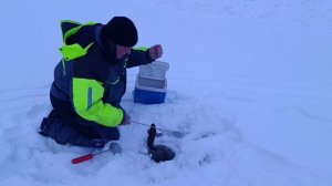 Светлые Горы НАЛИМ 07.02.2026г.