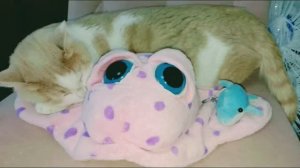 МИЛОТА 😄♥️😄