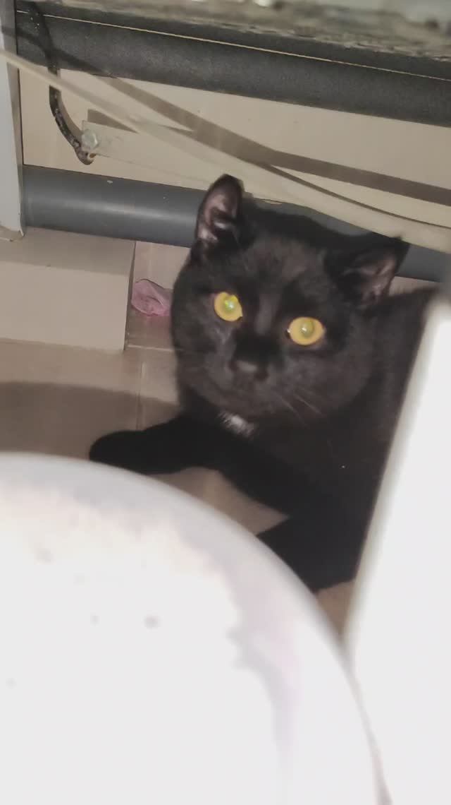 Общий страх объединяет