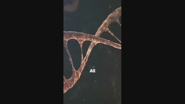 Вопросы из чата 07.02.26