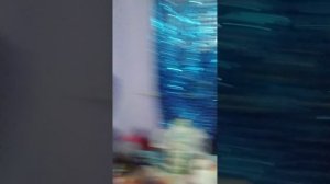 паркур дома