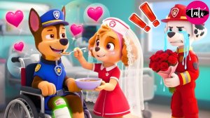 Щенячий патруль и Маршалл. Залипательное видео. Мультфильм для детей и малышей. Анимация 199