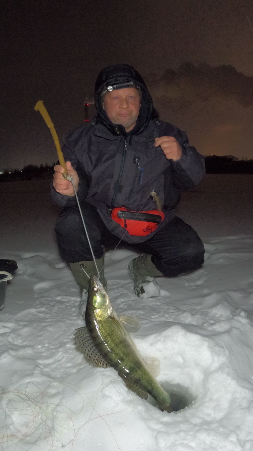 Судак бродит в темноте!