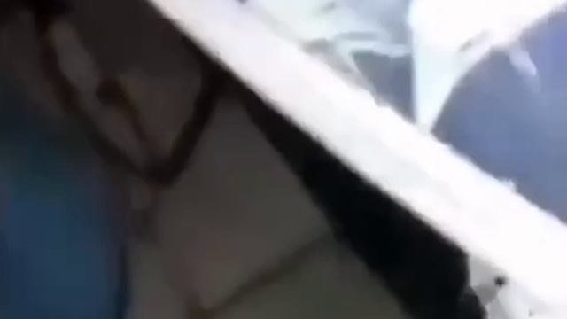 Это ловушка смотреть онлайн