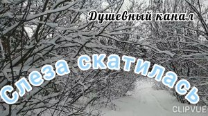 СЛЕЗА СКАТИЛАСЬ. / ПЕСНЯ ТРОНУЛА ДО ГЛУБИНЫ ДУШИ