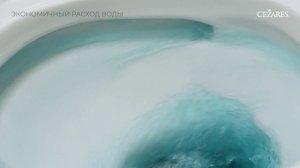 Унитаз подвесной Cezares Duet CZR-2462-TH-TOR безободковый, белый