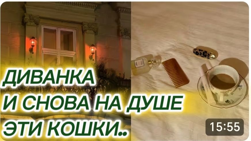 САМВЕЛ АДАМЯН, МИСС ВОНГ, И СНОВА НА ДУШЕ ЭТИ КОШКИ..