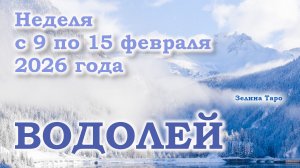 ВОДОЛЕЙ | ТАРО прогноз на неделю с 9 по 15 февраля 2026 года