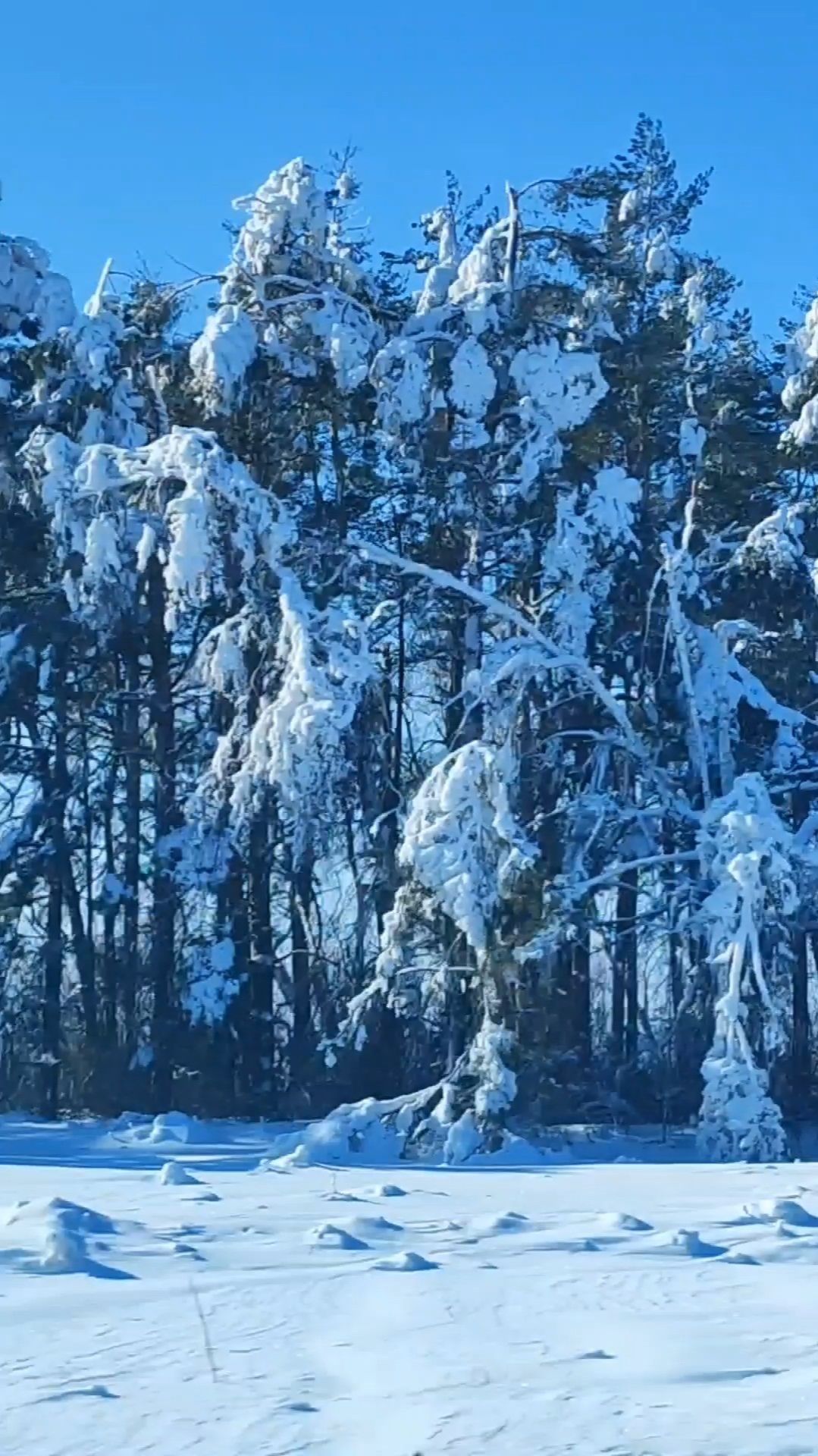 MP4_20260207_092900VLOG смотреть онлайн