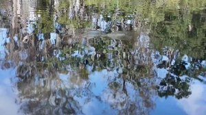 Едем в ГОСТИ к ПОДПИСЧИКУ. Новый кемпинг