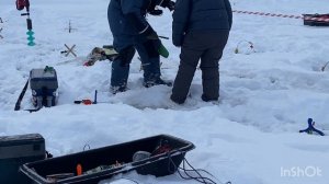 Поимки форели на водоеме