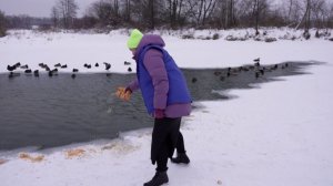 Сотрудники МТРК «Мир» в Беларуси приняли участие в акции «Васильковый патруль»