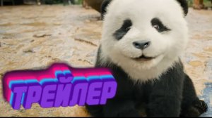 Официальный трейлер фильма «Панда План 2»