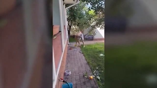 РСПШКУ ДИКО БОМБИТ смотреть онлайн