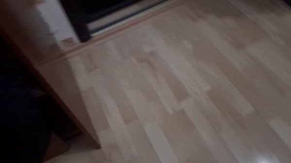 В гостях у бабушки и дедушки! Встреча с котиком и пёсиком!