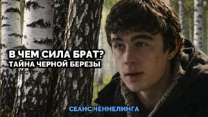 В ЧЁМ СИЛА, БРАТ? ТАЙНА ЧЁРНОЙ БЕРЁЗЫ