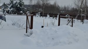 Бешенство продолжается....