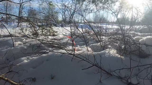 20260207_135300 смотреть онлайн