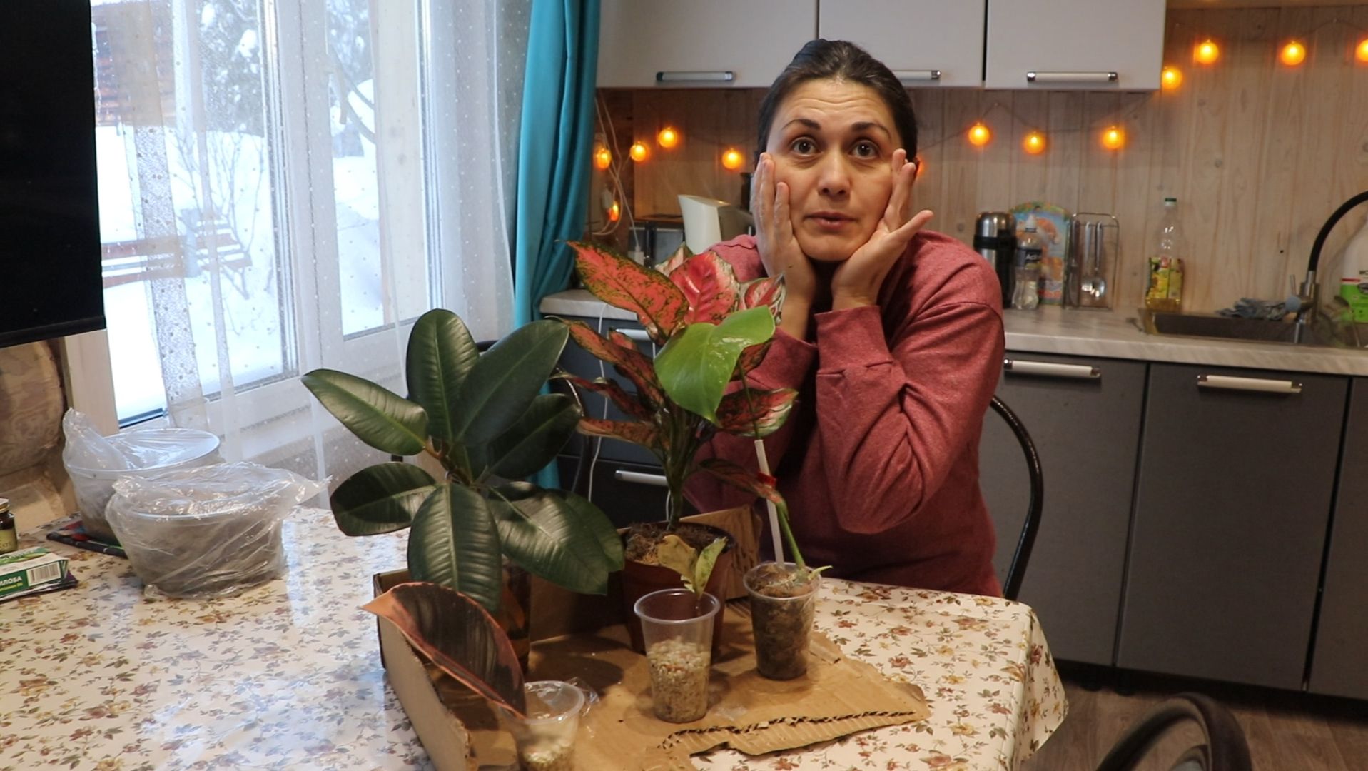 Просьба, понять и простить) .mp4 смотреть онлайн