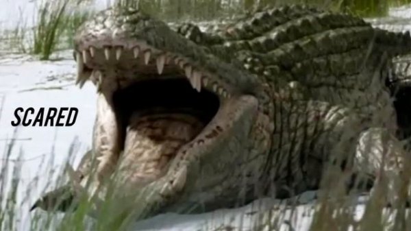 Three Days Grace - Scared