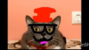 Тест Ин Шота