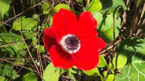 Я надеюсь...что все у них получится....когда-нибудь...