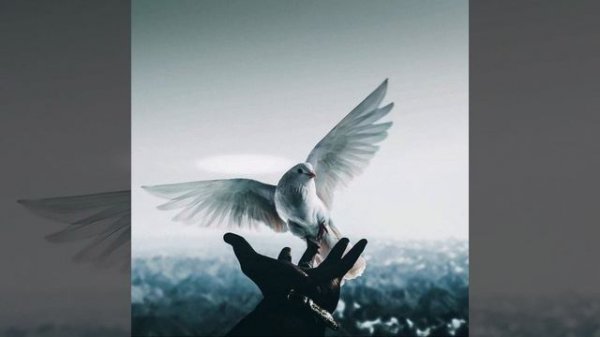 Garik Garik  Снится мне сон...😉