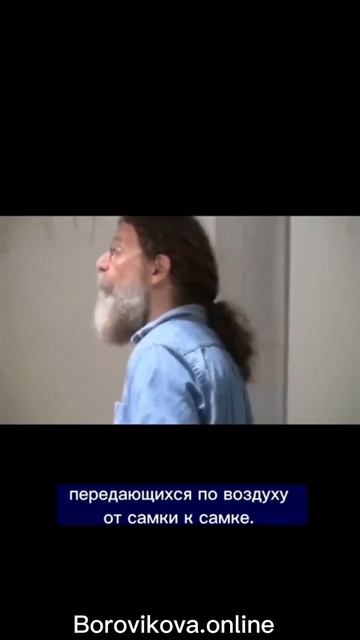 Синхронизация месячных