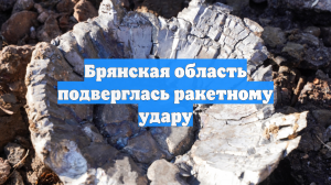 Богомаз: ВСУ ударили ракетами по Брянской области, пострадали два человека