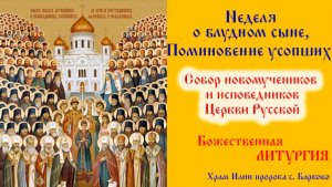 Неделя о блудном сыне, Поминовение усопших. Собор новомучеников и исповедников Церкви Русской.