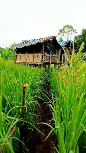 "ВСЕ ЖЕ ВЕРУЮЩИЕ БЫЛИ ВМЕСТЕ"  ДЕЯНИЯ 2:44.