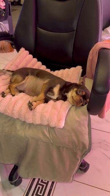 Любимое местечко. смотреть онлайн