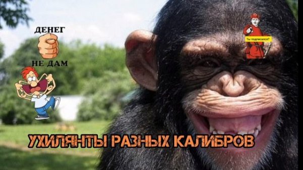 МОШЕННИКИ РАЗНЫХ КАЛИБРОВ