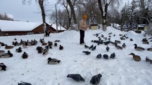 НАШЕСТВИЕ УТОК