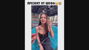 #смешныевидео -881