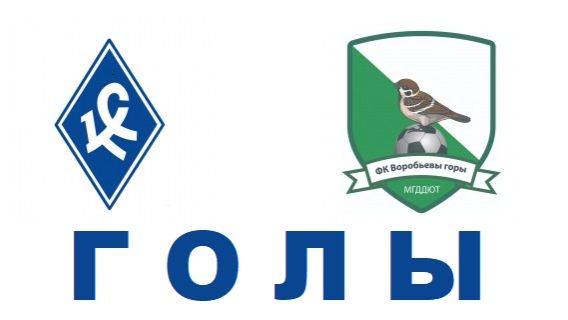 ГОЛЫ Перово - Воробьевы горы(2009) 0-7 07.02.2026