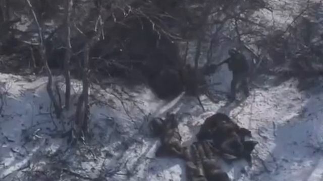 Взятие в плен шестёрки хрюнделей для работы на урановых рудниках Сибири во благо Родины.mp4 смотреть онлайн