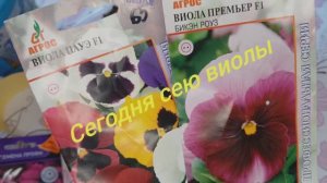 2211. Посевной 2026 г. Посев виолы.