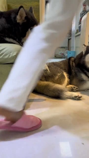 Опасная группировка смотреть онлайн