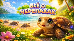 ВСЁ О ЧЕРЕПАХАХ 🐢 | Удивительные факты для детей
