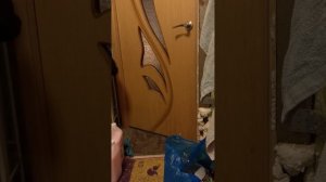 играем в жмурки с Аришачкай💛🩷💛🩷💛🩷