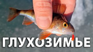 Рыбалка в глухозимье. Ловля окуня и плотвы на мормышку зимой.