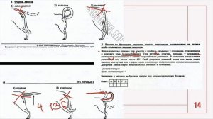 ОГЭ БИОЛОГИЯ 2026 Разбор 1 варианта